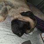 Cameron Cockrell - @bubba2cameron - Instagram