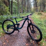 Cameron Collier - @cameroncollier58 - Instagram