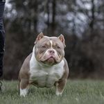 Cameron Collier - @cameroncollier2 - Instagram