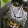 Cameron Compton - @monkeman777777 - TikTok