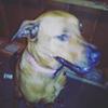 cameron.coolidge - @cameron.coolidge - TikTok