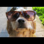Cameron Corley - @gnarbones - Instagram