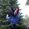user9313485138400 - @cameron.cormier - TikTok