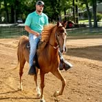 Cameron Cornelius - Facebook