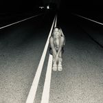 Cameron Cotton - @cam_cottonn - Instagram