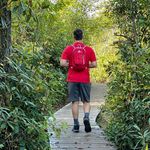 Cameron Cotton - @affiliate_mill - Instagram