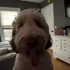 cam_coty - @cameron_coty - TikTok