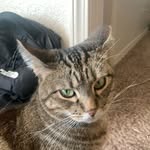 Cameron - @_cameron_couch_ - Instagram