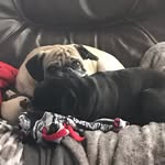 Cameron Couch - @couch.cameron - Instagram