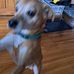 Cameron Cox - Facebook