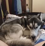 Cameron Crawley - Facebook