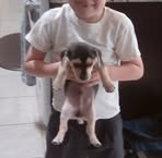 Cameron Crenshaw - Facebook