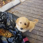 Zoeys Life - @cameron_cronquist - Instagram