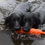 Cameron Crosby - Facebook