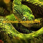 Cameron Crosby - @glitched_camboi2009 - Instagram