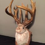 cameron crosby - @cameron_crosby - Instagram