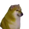 unknownuser - @cameroncrowder - TikTok