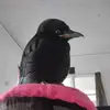 Cameron_Crowe22 - @cameron_crowe22 - TikTok