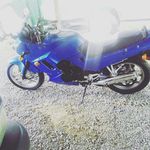 Cameron crowe - @cameron_crowe_ - Instagram