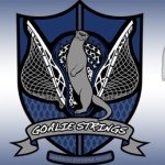 Cameron Crowley - @goaliestrings - Instagram