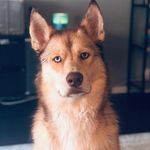 Cameron Cuda - @cudabexar - Instagram