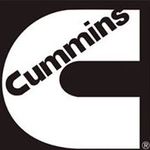 Cameron Cummins - @cameroncummins - Instagram