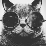 Cameron Cureton - Facebook