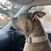 Cameron Danielson - Facebook