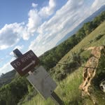 Cameron Delaney - @camdelano - Instagram