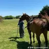 Cameron Delgado - @cameron.delgado - TikTok