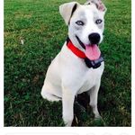 Cameron denny - @cam121501 - Instagram