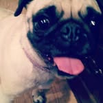 cameron dent - @camd489 - Instagram