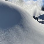 Cameron Dexter - @camdexter1 - Instagram