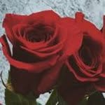 Cameron Dial - @dial37 - Instagram
