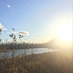 Cameron Dickey - @diceymusic27 - Instagram