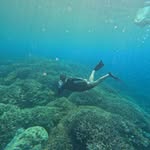 Cameron Dixon - @cameron_dixon1 - Instagram