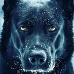 cammy - @cameron_dixon45 - Instagram