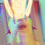 Cameron Dodge - @camerondodge.150 - Instagram