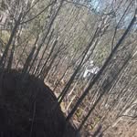 camerondone - @lol_ihate_you_and_you_aint_spe - Instagram