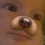 CamSpams - @camerondonerspam - Instagram