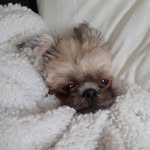 Camron Doucette - @doucettecamron - Instagram