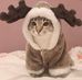 Cameron Dunn - Facebook