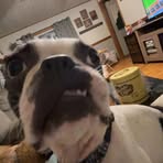 Cameron Eggleston - Facebook