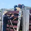 Cameron Moeller - @cameron.moeller - TikTok