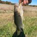 Cam Viccione - Facebook