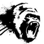 Cameron farah - @silverback_proformance - Instagram