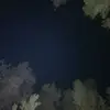 𖣂 - @cameron.ferris14 - TikTok