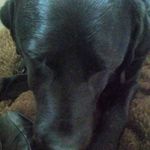 Cameron Ferris - @cameron_f3rr1s - Instagram