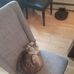 Cameron Ferris - Facebook