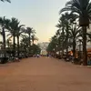 Cameron Ferris - @cameron.ferris79 - TikTok